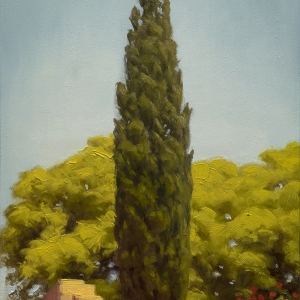 elias_cypress_tree