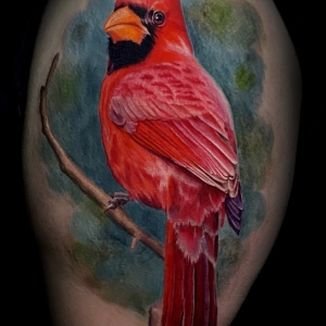 cardinal