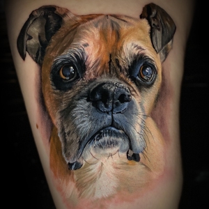 dog